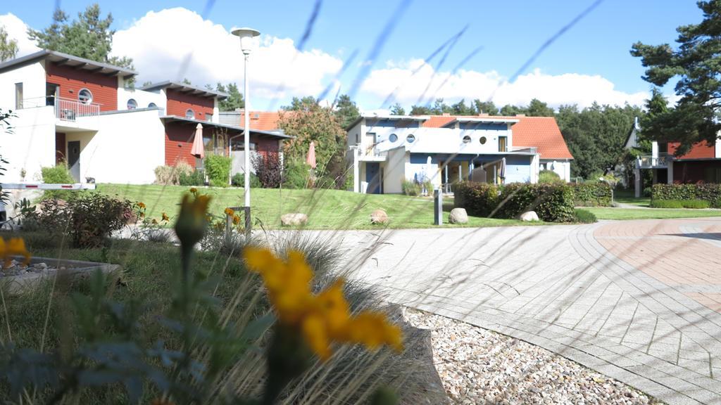 Marina Eldenburg - Ferienhauser Und Bootsverleih Am Tor Zur Muritz Waren  Dış mekan fotoğraf